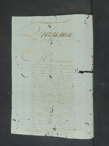 Open original Document numérique
