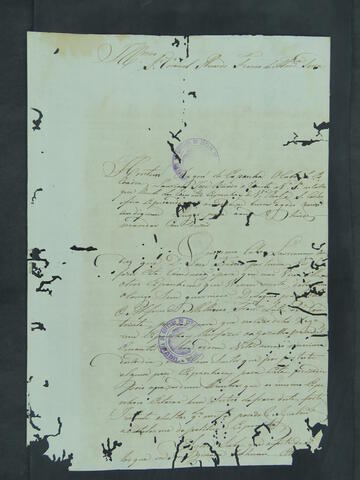 Open original Document numérique