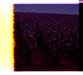 BR MTAPMT SCS-200-210-212-212.9-36301 1