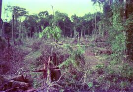 BR MT APMT.JRC.CD.AP.0081 11