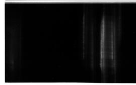 BR MTAPMT SCS-000-010-011-011.2-30096 1