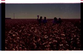 BR MTAPMT SCS-200-210-212-212.9-36301 39