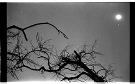 BR MTAPMT SCS-900-910-918-918.5-33496 51