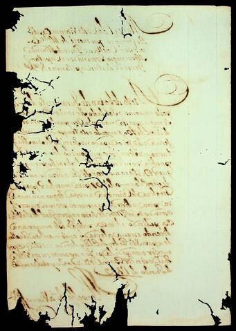 Open original Document numérique