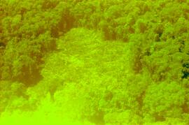 BR MT APMT.JRC.CD.AS.0159 7