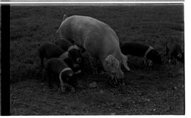 BR MTAPMT SCS-200-210-216-216.5-30097 35